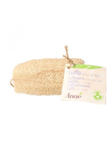 Luffa Bain 