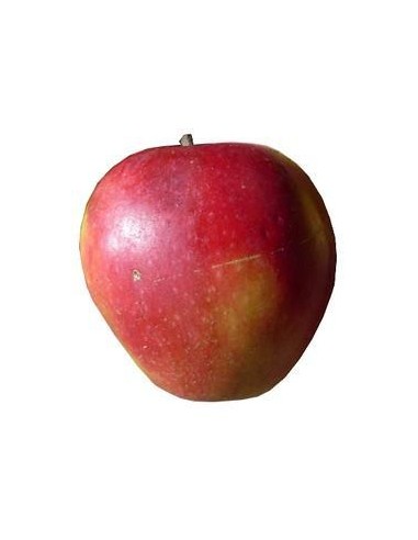 Pomme Crimson De France Par 500g 