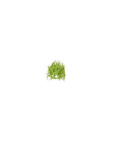 Haricot Vert De France Par 500g 